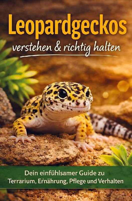 Leopardgeckos verstehen & richtig halten