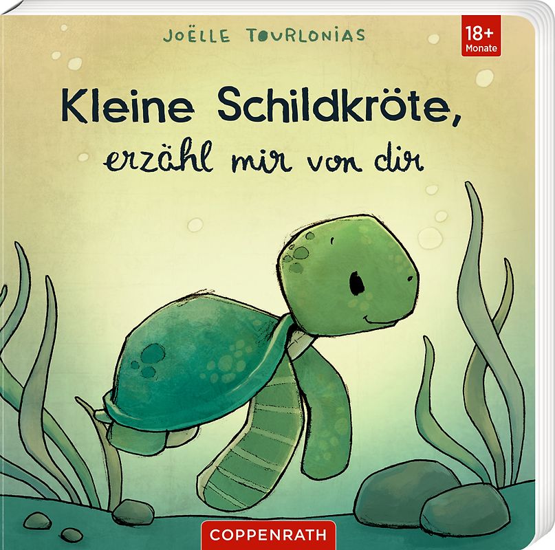 Kleine Schildkröte, erzähl mir von dir