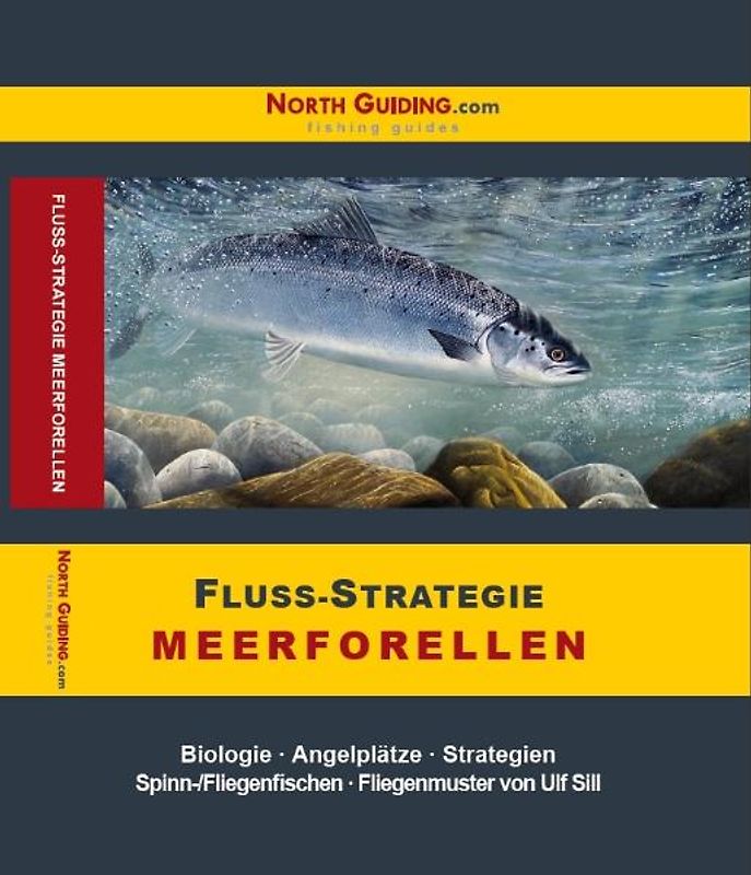 Fluss-Strategie - Meerforellen
