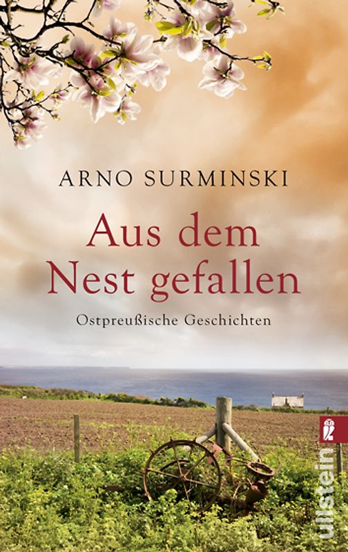 Aus dem Nest gefallen