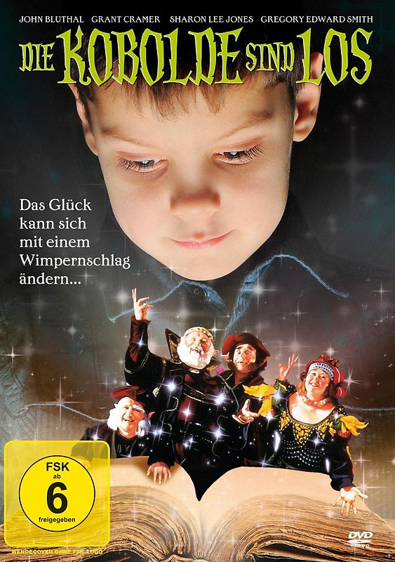 Die Kobolde sind los DVD