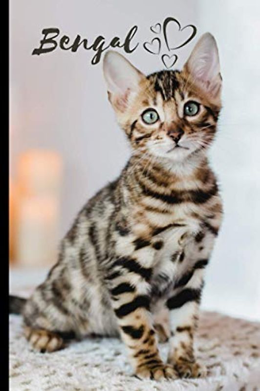 Bengal Cat Notebook For Cat Lovers: Composition Notebook 6x9" Blank Lined Journal