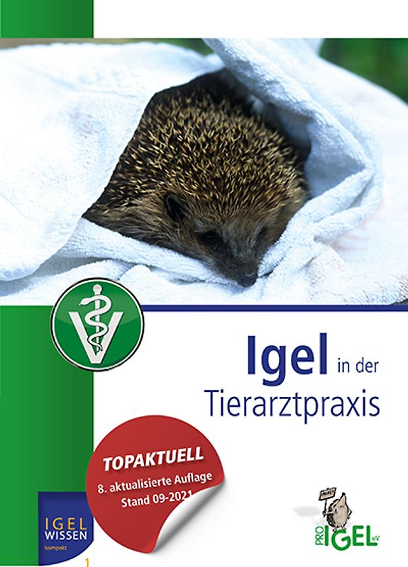 Igel in der Tierarztpraxis
