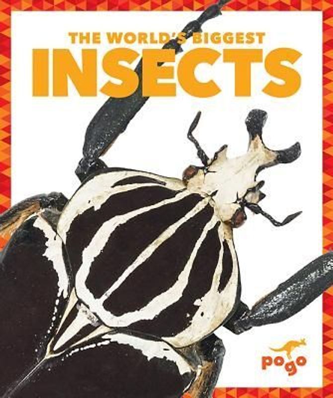 The World's Biggest Insects