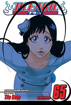Bleach, Vol. 65 - Kubo, Tite