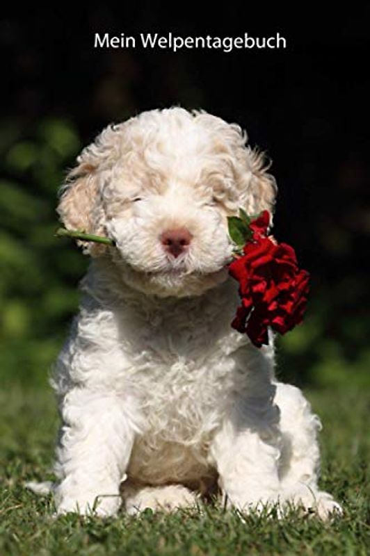 Mein Welpentagebuch: die ersten Monate mit meinem Lagotto Romagnolo (Lagotto - alle Bücher: Trainingstagebuch, Krankenakte und Welpentagebuch, Band 3)