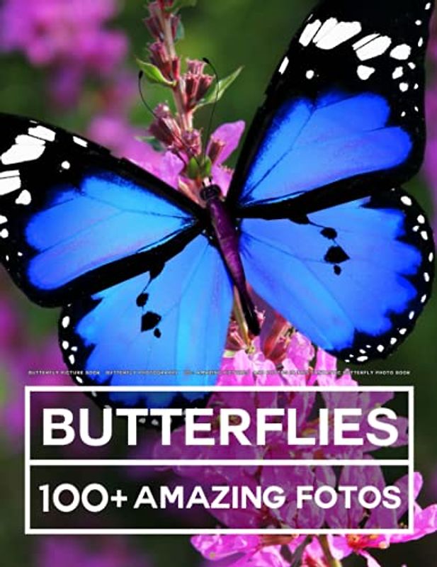 Butterfly Picture Book - Butterfly Photography: 100+ Amazing Pictures and Photos in this fantastic Butterfly Photo Book
