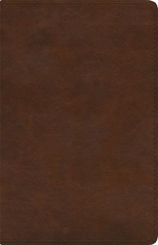 ESV Spanish/English Parallel Bible (La Santa Biblia Rvr 1960 / The Holy Bible Esv, Trutone, Brown)