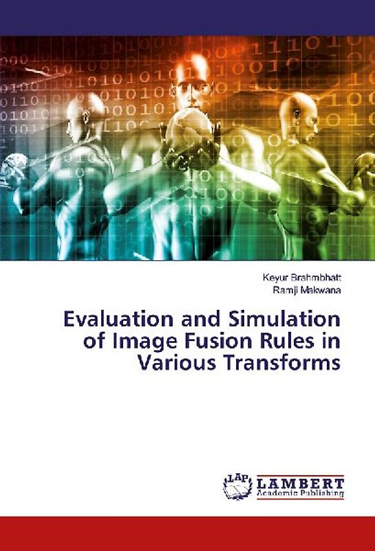 Evaluation and Simulation of Image Fusion Rules in Various Transforms