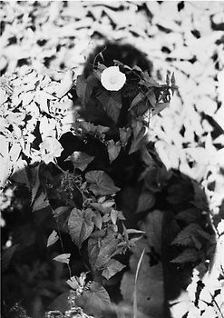 Jochen Lempert. Relación