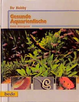 Ihr Hobby Gesunde Aquarienfische