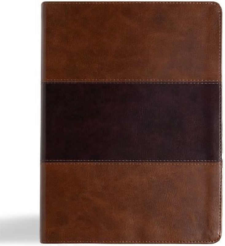 KJV Study Bible, Large Print Edition, Saddle Brown Leathertouch