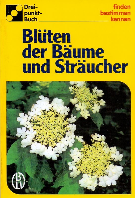Blüten der Bäume und Sträucher