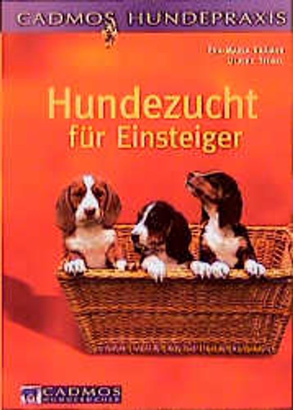 Hundezucht für Einsteiger