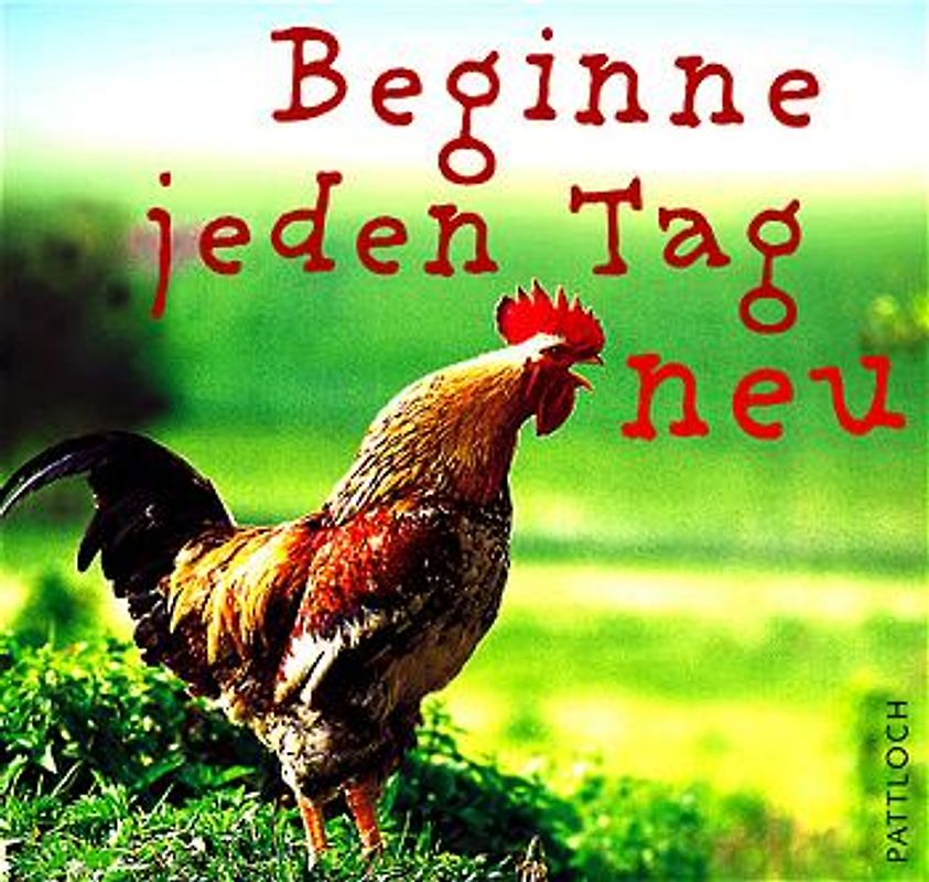 Beginne jeden Tag neu