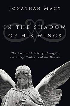 In the Shadow of His Wings: The Pastoral Ministry of Angels: Yesterday, Today, and for Heaven