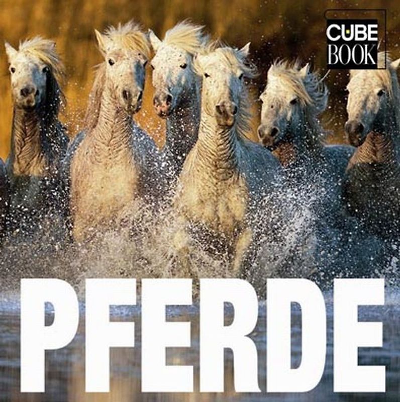 Pferde