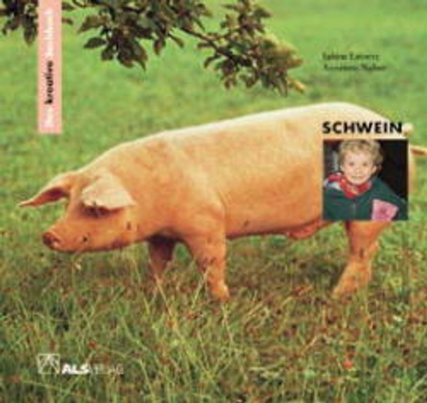 Das kreative Sachbuch "Schwein"