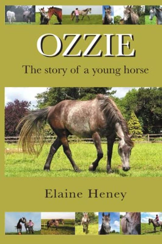 Ozzie - The Story of a Young Horse