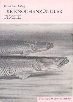 Die Knochenzünglerfische