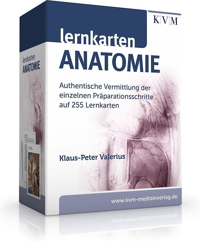 Lernkarten Anatomie