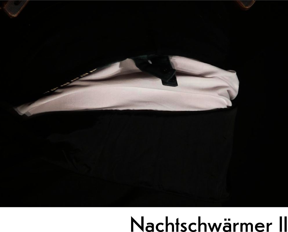 Nachtschwärmer