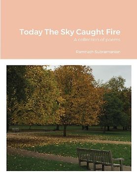 Today The Sky Caught Fire