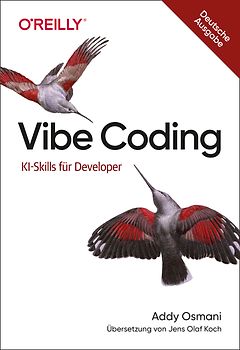 Vibe Coding professionell