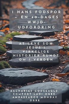 I hans fodspor - En 40-dages WWJD-udfordring - At leve som Jesus i virkelige historier rundt om i verden