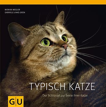 Typisch Katze