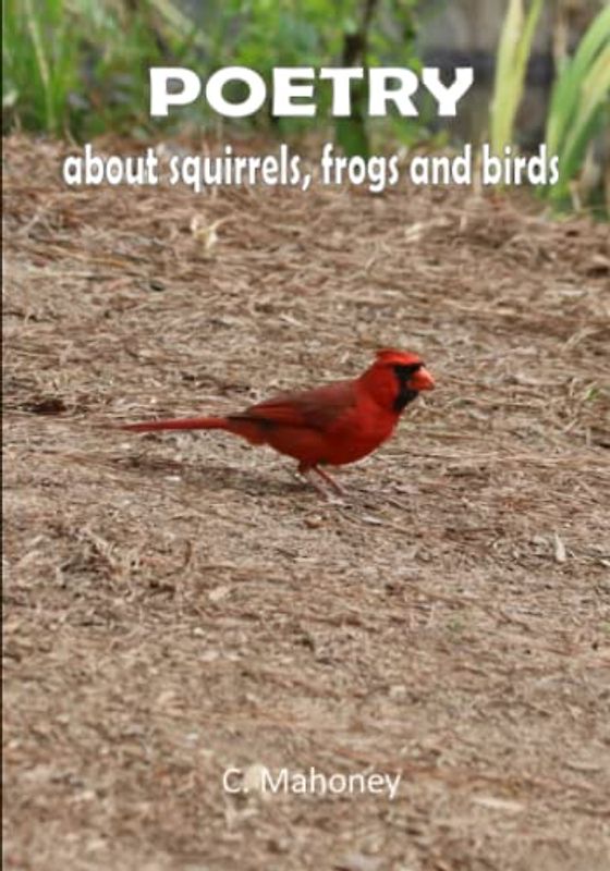 Poetry about squirrels, frogs and birds
