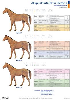 Akupunkturtafeln für Pferde 3 + 4