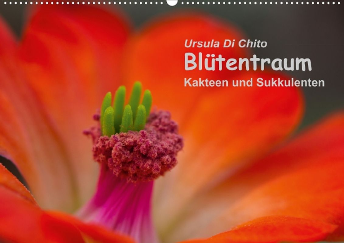 Blütentraum - Kakteen und Sukkulenten (Posterbuch DIN A3 quer)