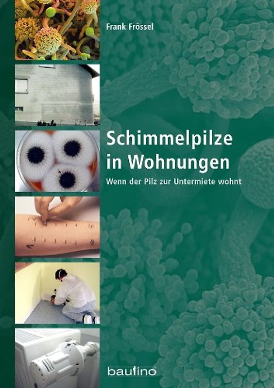 Schimmelpilze in Wohnungen