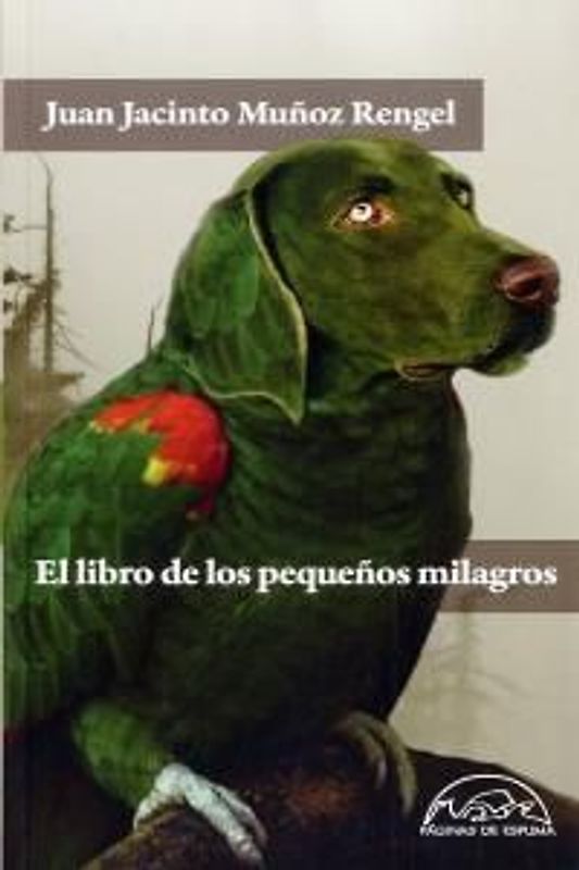 El libro de los pequeños milagros