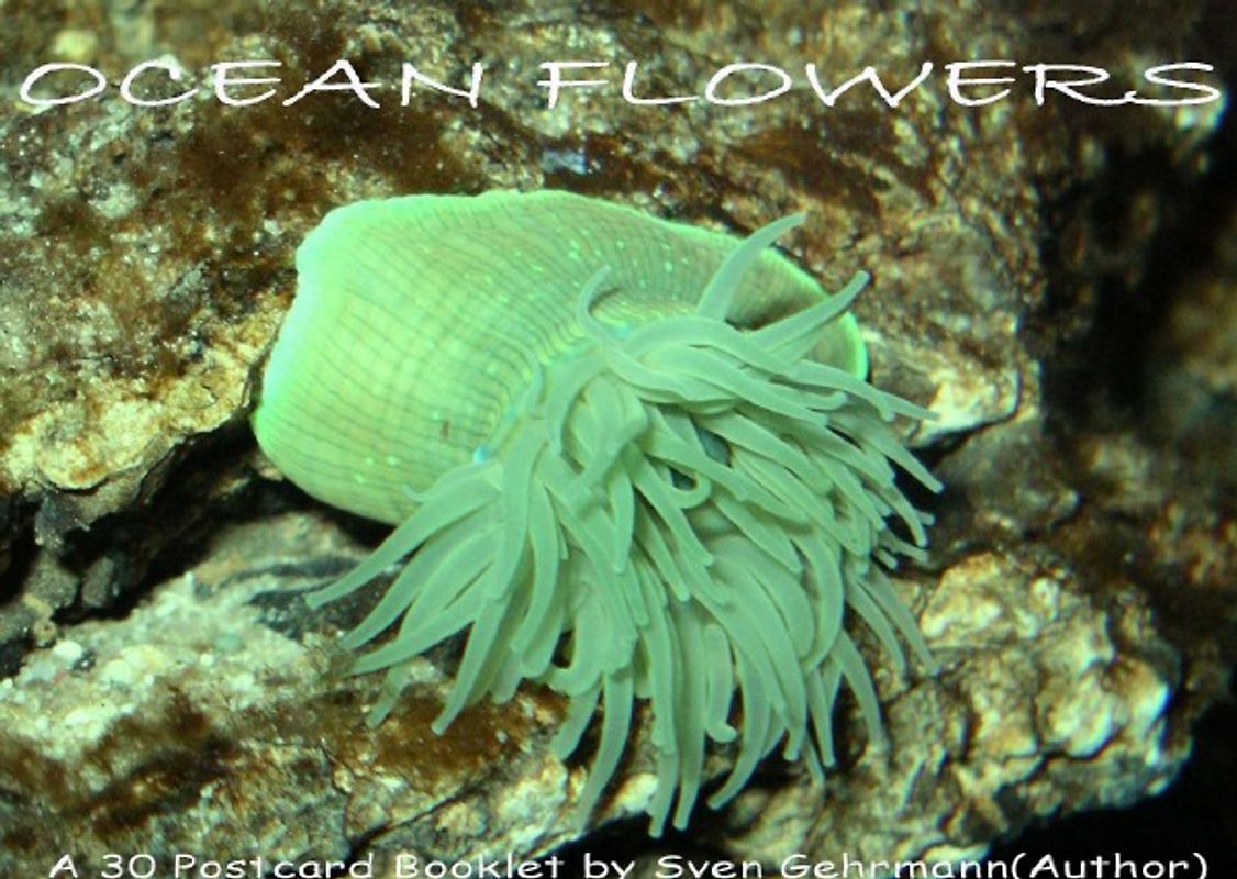 Ocean Flowers