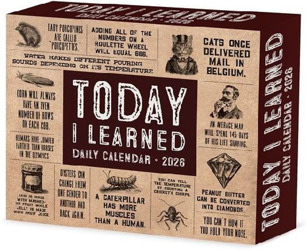 Today I Learned (Til) 2026 5.4 X 6.2 Box Calendar