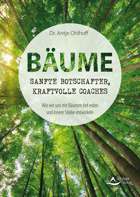 Bäume – sanfte Botschafter, kraftvolle Coaches