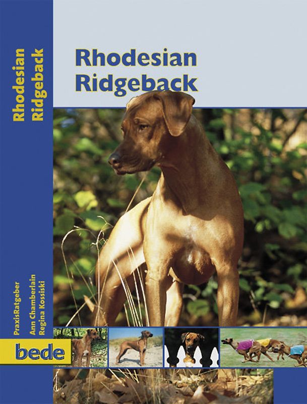 Rhodesian Ridgeback