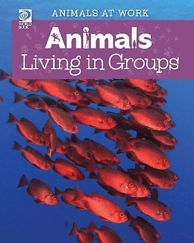 Animals Living in Groups