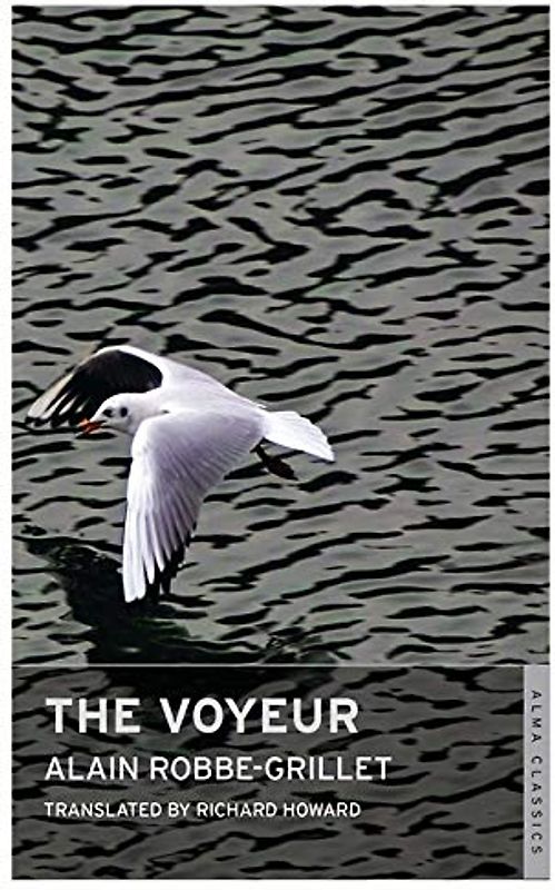 The Voyeur