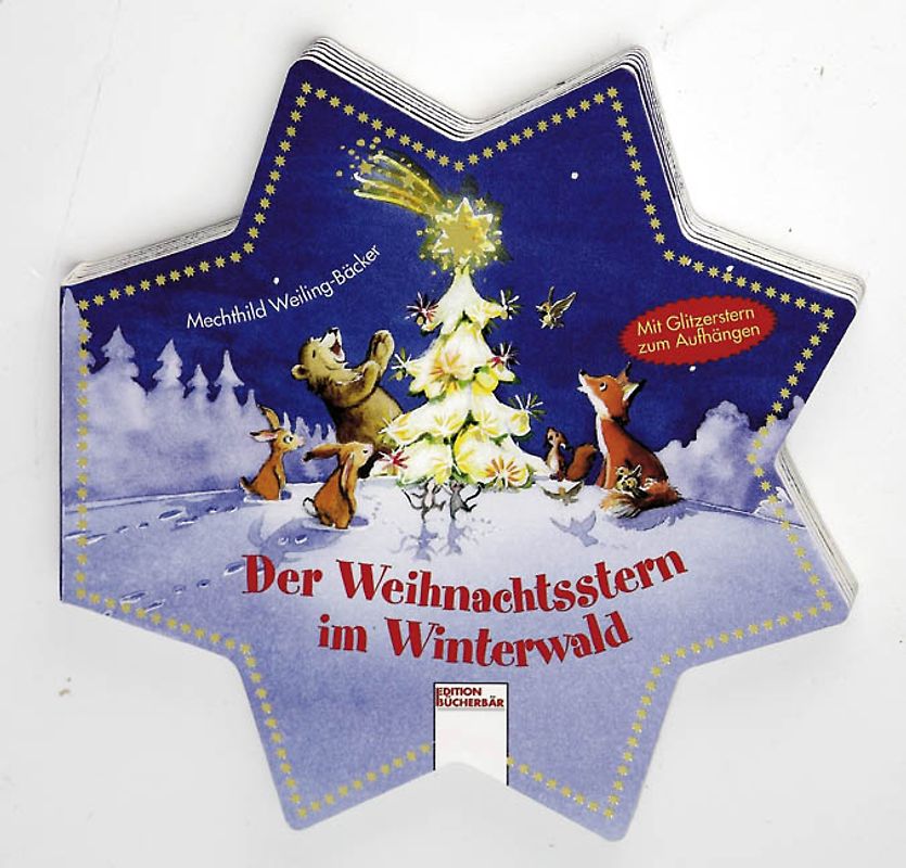 Der Weihnachtsstern im Winterwald