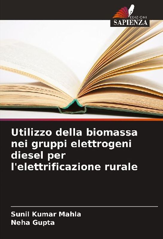 Utilizzo della biomassa nei gruppi elettrogeni diesel per l'elettrificazione rurale
