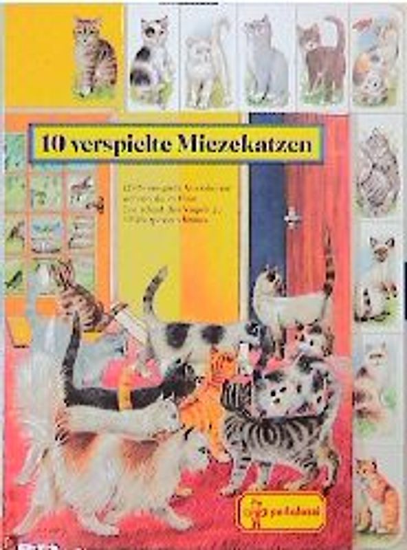 10 verspielte Miezekatzen