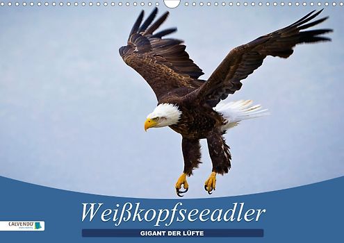 Gigant der Lüfte – Weißkopfseeadler  (Posterbuch DIN A4 quer)
