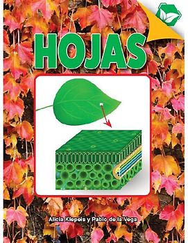 Hojas