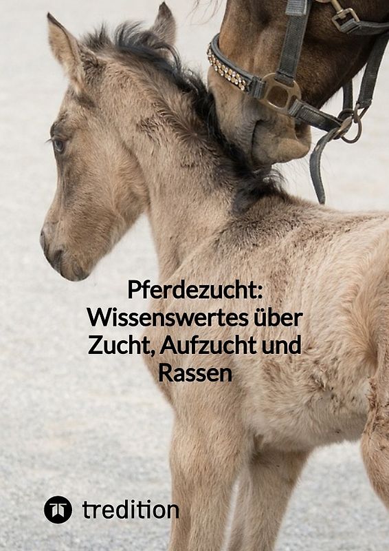 Pferdezucht: Wissenswertes über Zucht, Aufzucht und Rassen