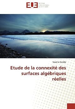 Etude de la connexité des surfaces algébriques réelles