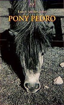 Pony Pedro