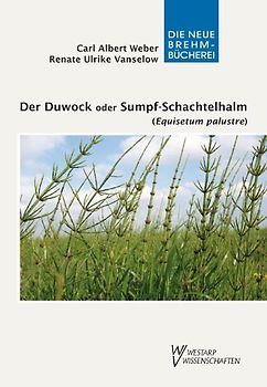 Der Duwock oder Sumpf-Schachtelhalm (Equisetum palustre)
